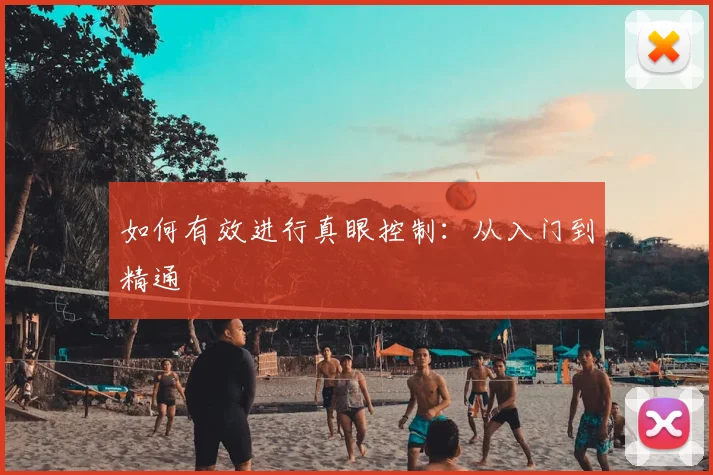 如何有效进行真眼控制:从入门到精通