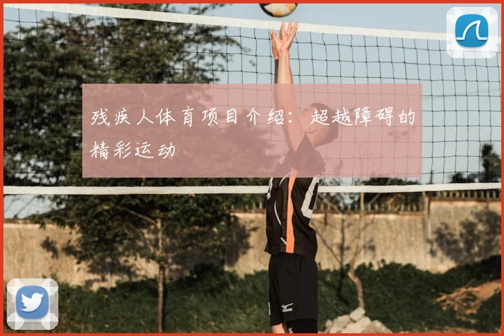 残疾人体育项目介绍:超越障碍的精彩运动