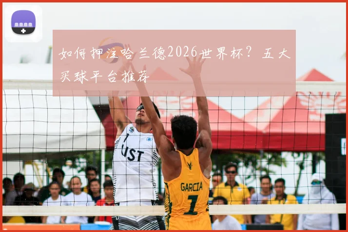 如何押注哈兰德2026世界杯？五大买球平台推荐