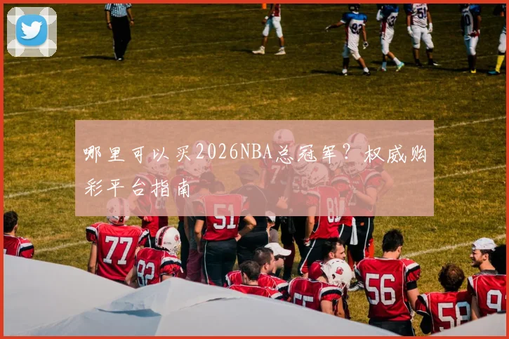 哪里可以买2026NBA总冠军？权威购彩平台指南
