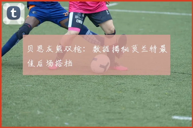 贝恩灰熊双枪:数据揭秘莫兰特最佳后场搭档