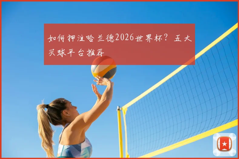 如何押注哈兰德2026世界杯?五大买球平台推荐