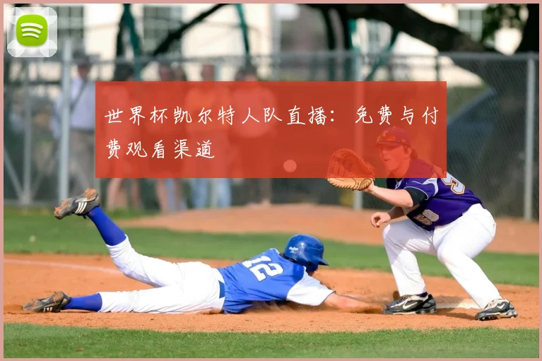 世界杯凯尔特人队直播:免费与付费观看渠道