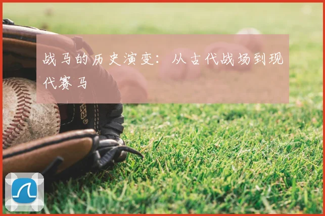 战马的历史演变：从古代战场到现代赛马