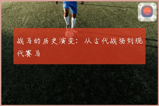 战马的历史演变：从古代战场到现代赛马