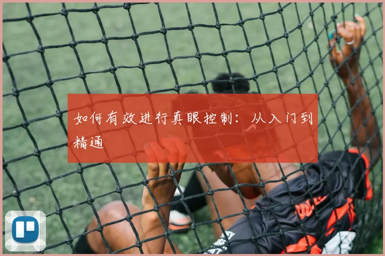 如何有效进行真眼控制：从入门到精通